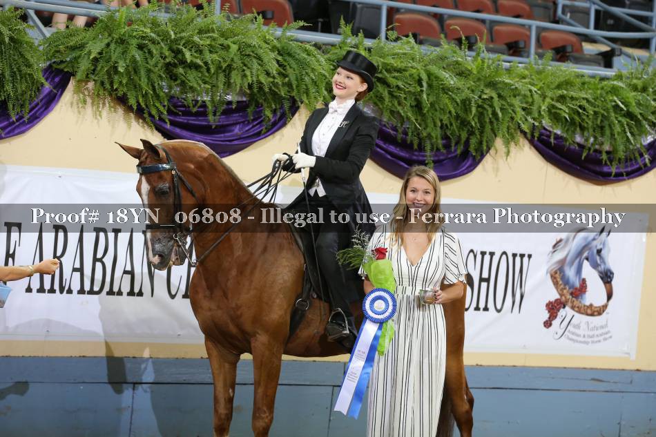 Proof 18YN_06808