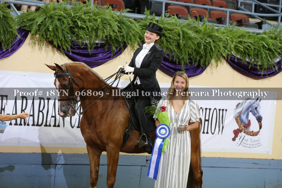 Proof 18YN_06809