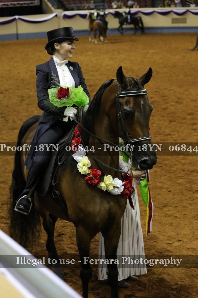 Proof 18YN_06844