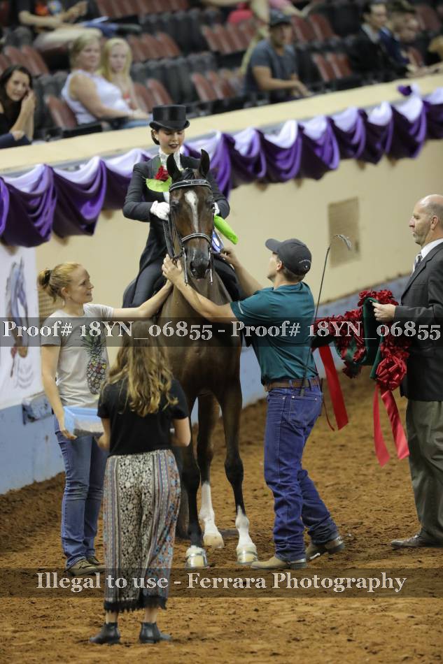 Proof 18YN_06855
