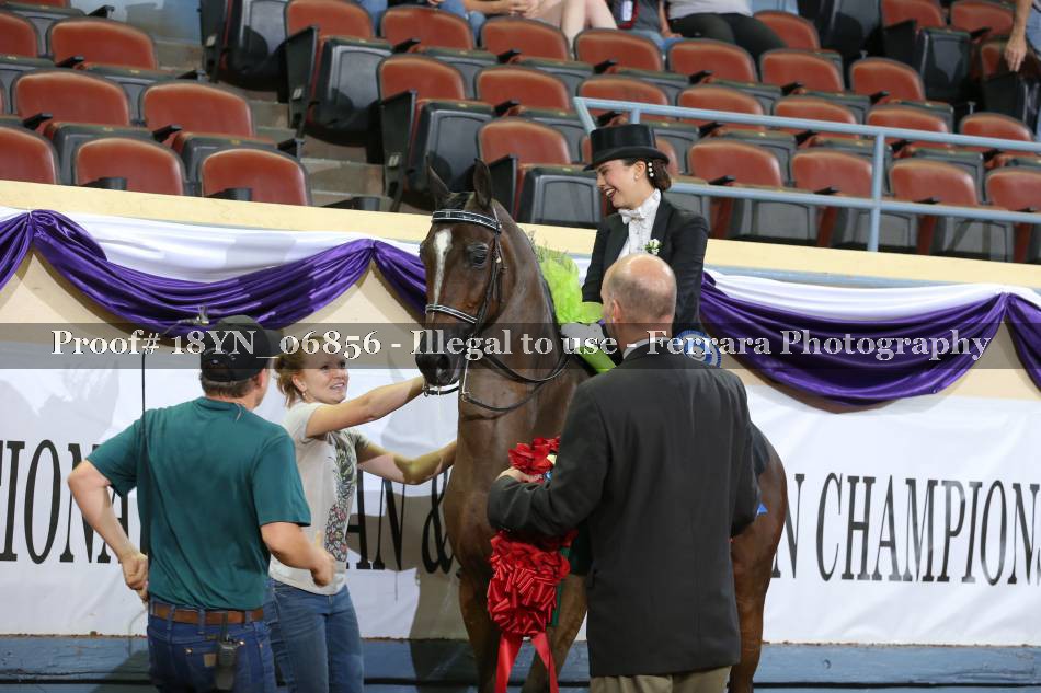 Proof 18YN_06856