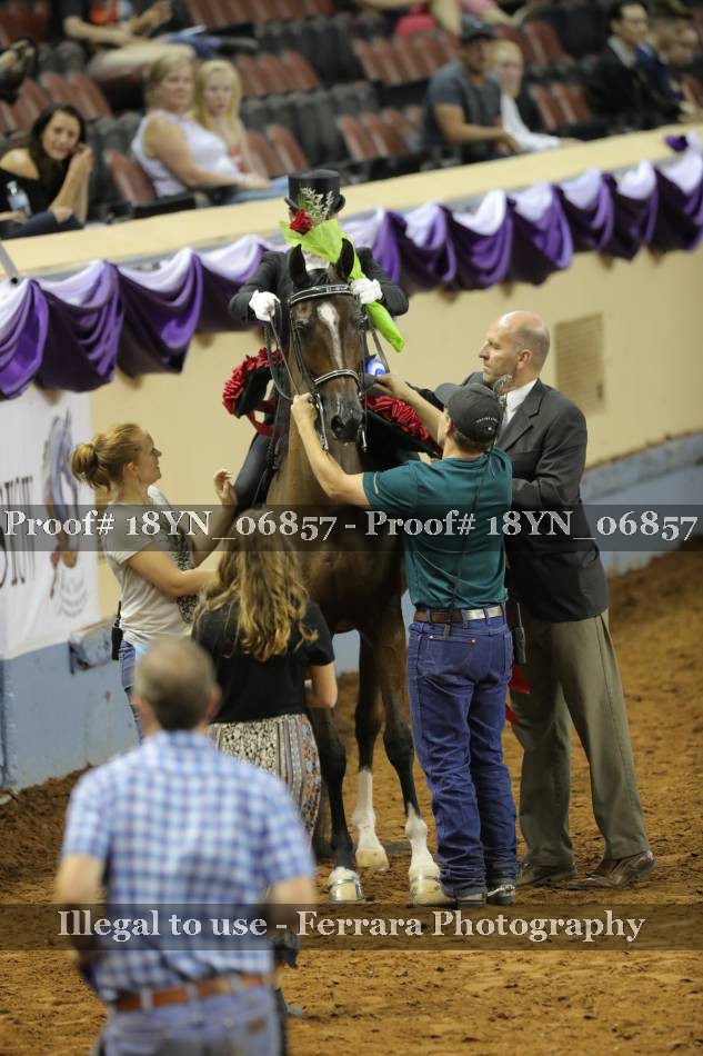 Proof 18YN_06857
