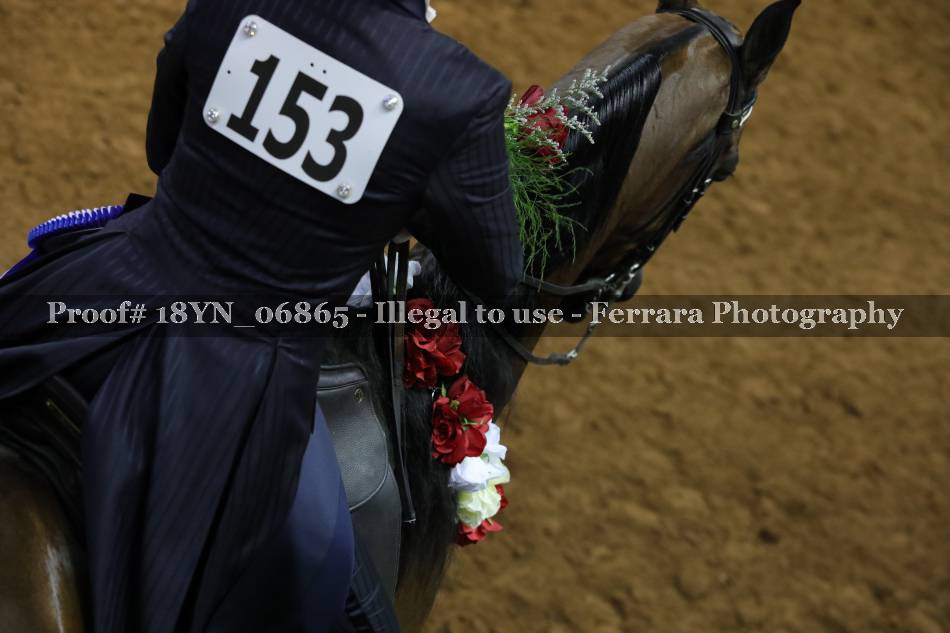 Proof 18YN_06865