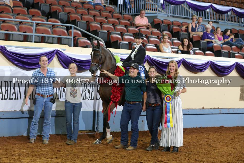 Proof 18YN_06877
