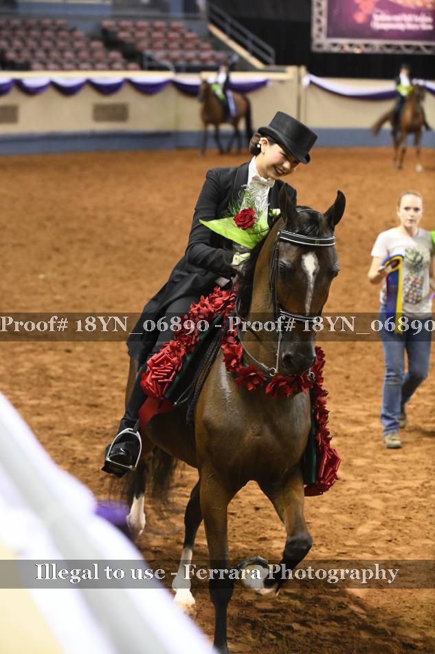 Proof 18YN_06890