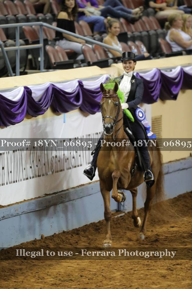 Proof 18YN_06895