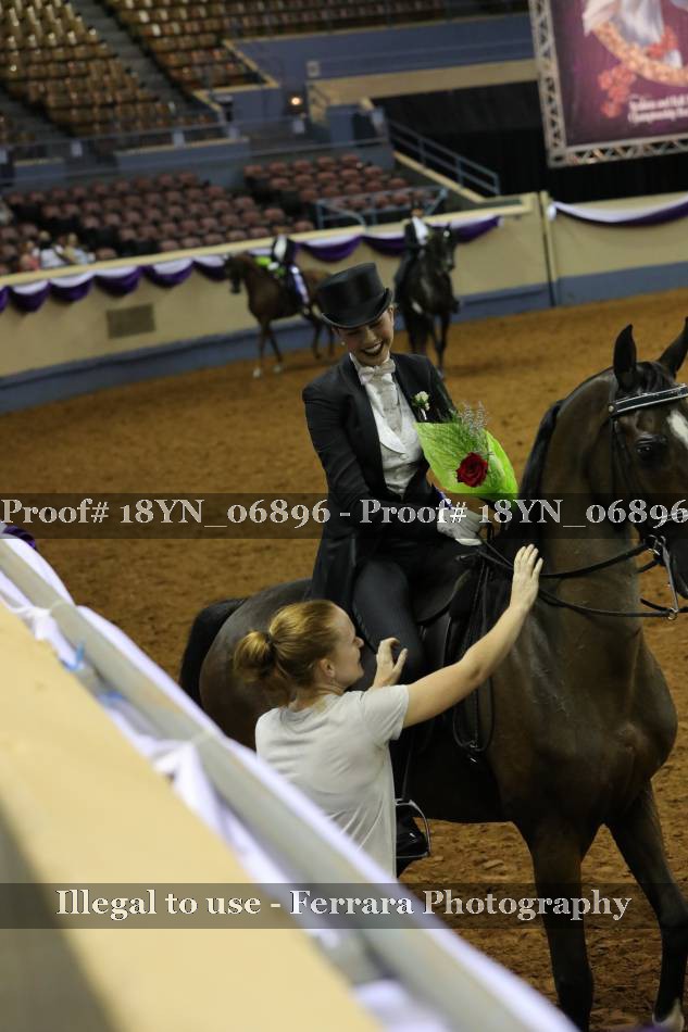 Proof 18YN_06896