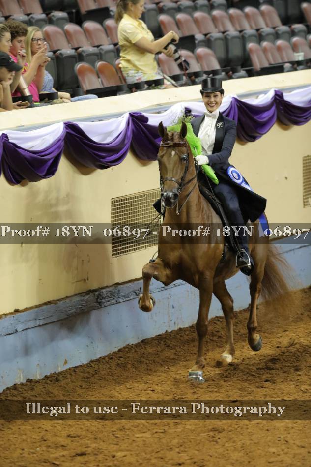 Proof 18YN_06897
