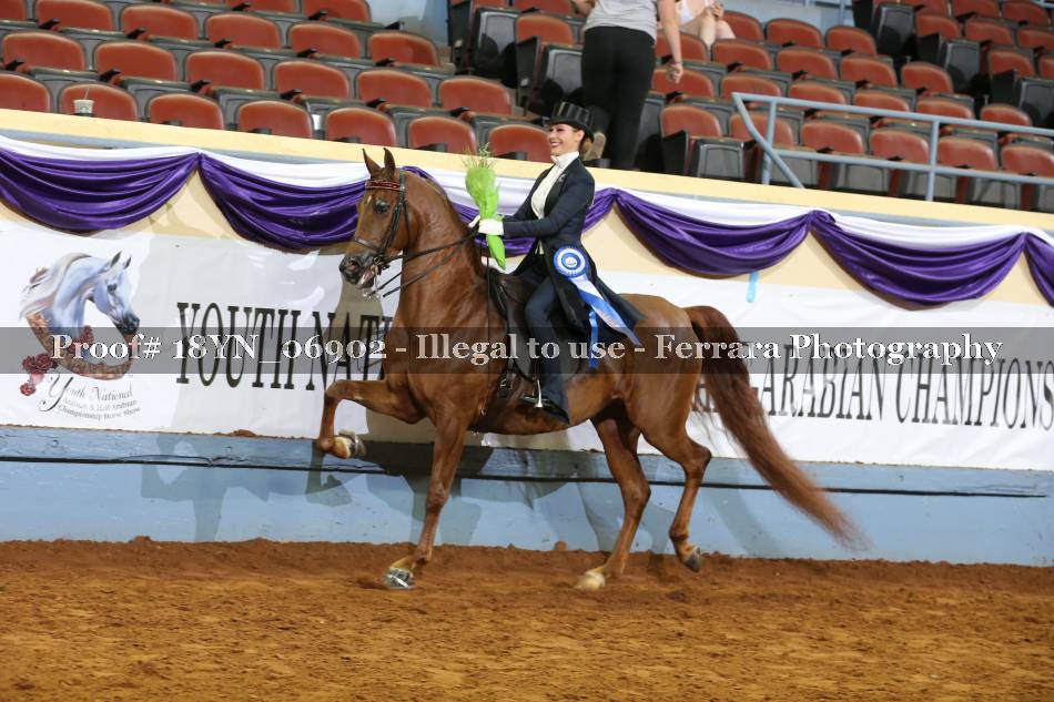 Proof 18YN_06902