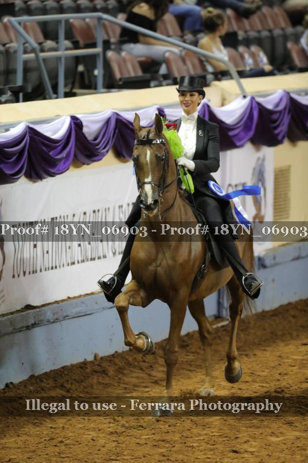 Proof 18YN_06903
