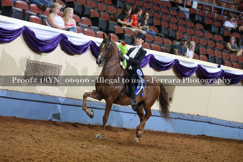 Proof 18YN_06906
