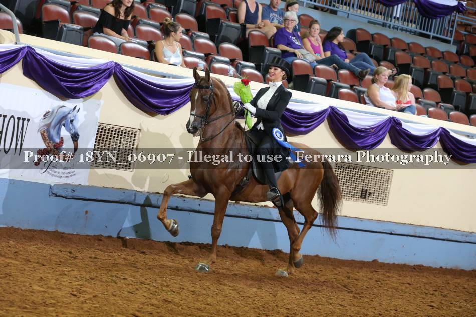 Proof 18YN_06907