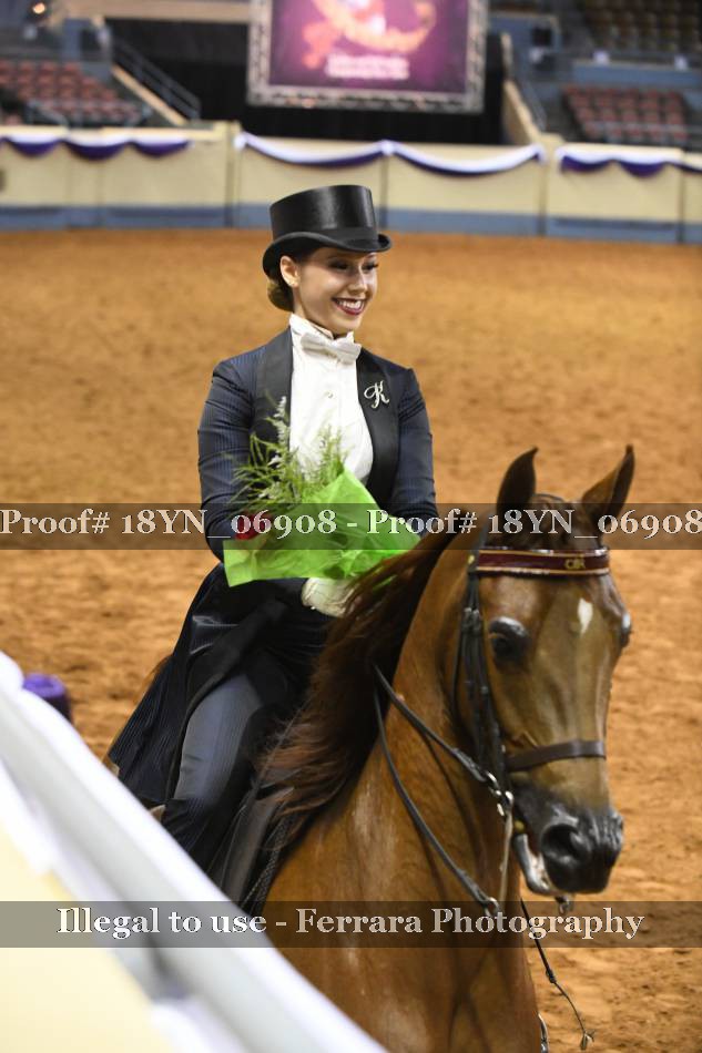 Proof 18YN_06908