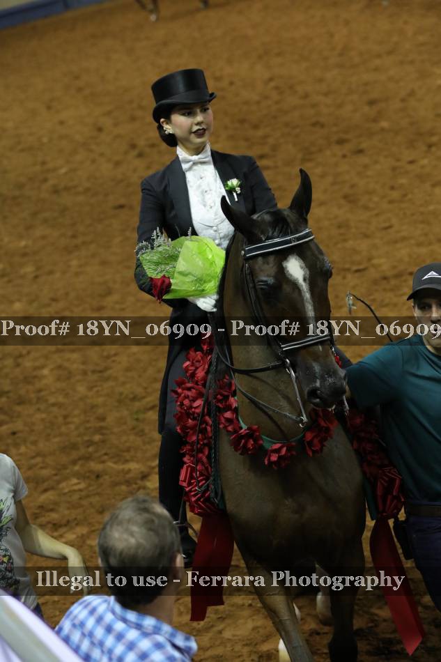 Proof 18YN_06909