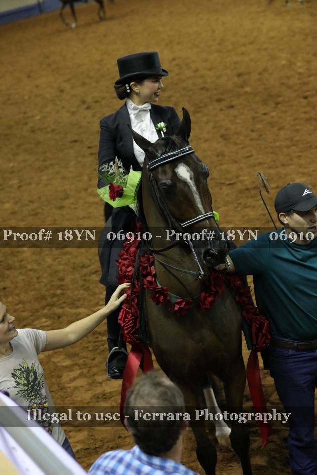 Proof 18YN_06910