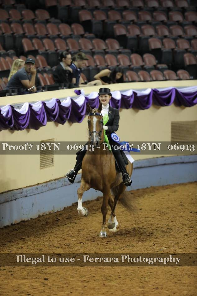 Proof 18YN_06913