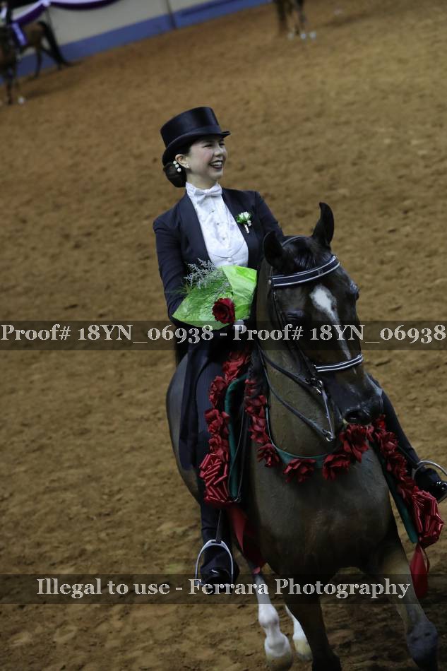 Proof 18YN_06938