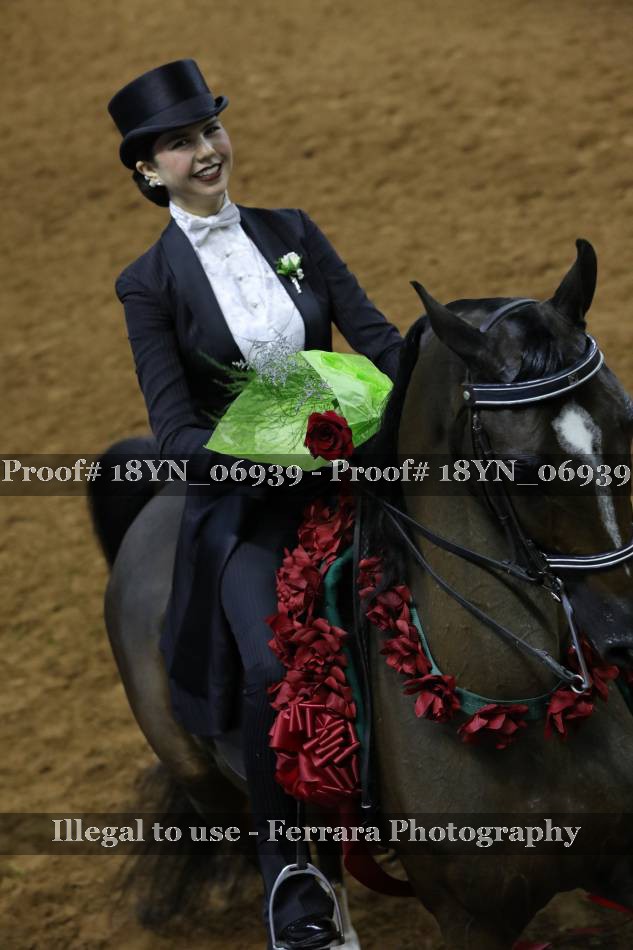 Proof 18YN_06939