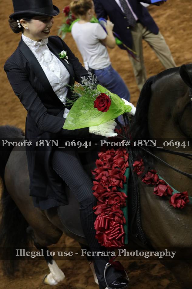 Proof 18YN_06941