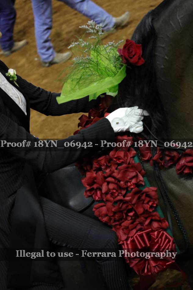 Proof 18YN_06942