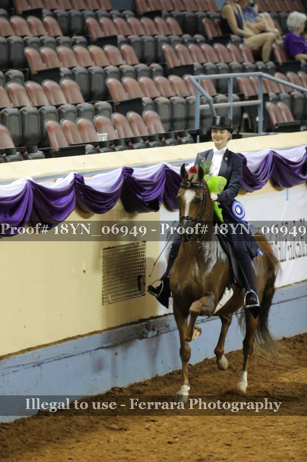 Proof 18YN_06949