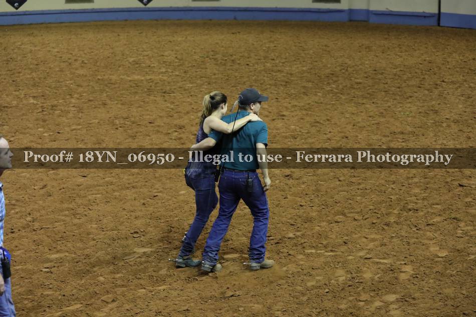 Proof 18YN_06950