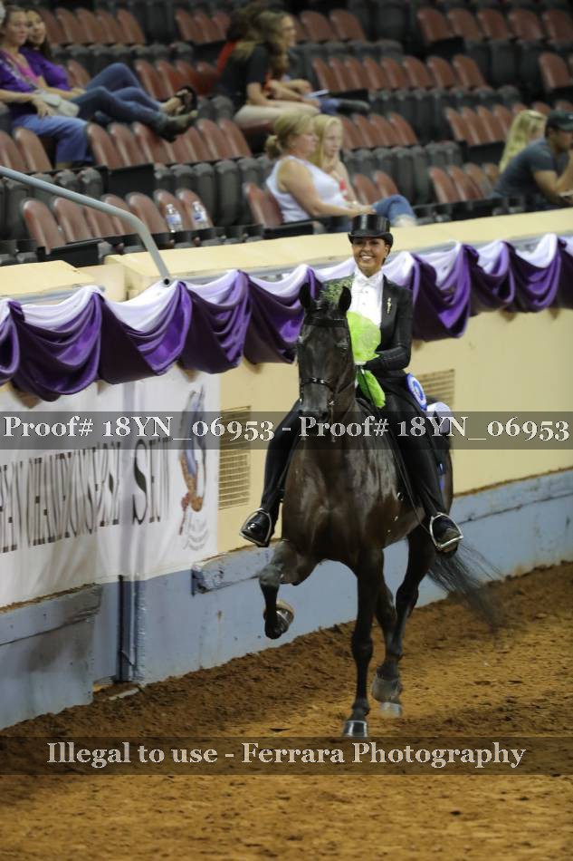 Proof 18YN_06953
