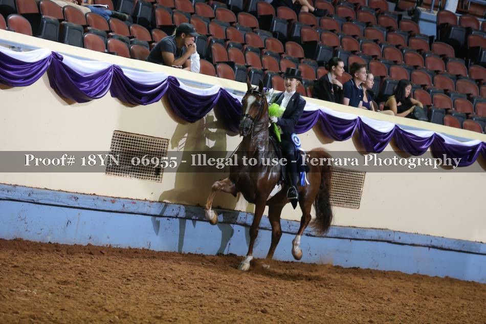 Proof 18YN_06955