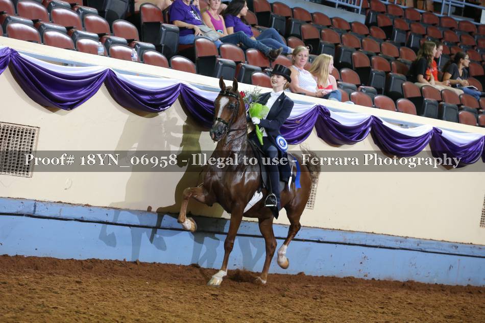 Proof 18YN_06958