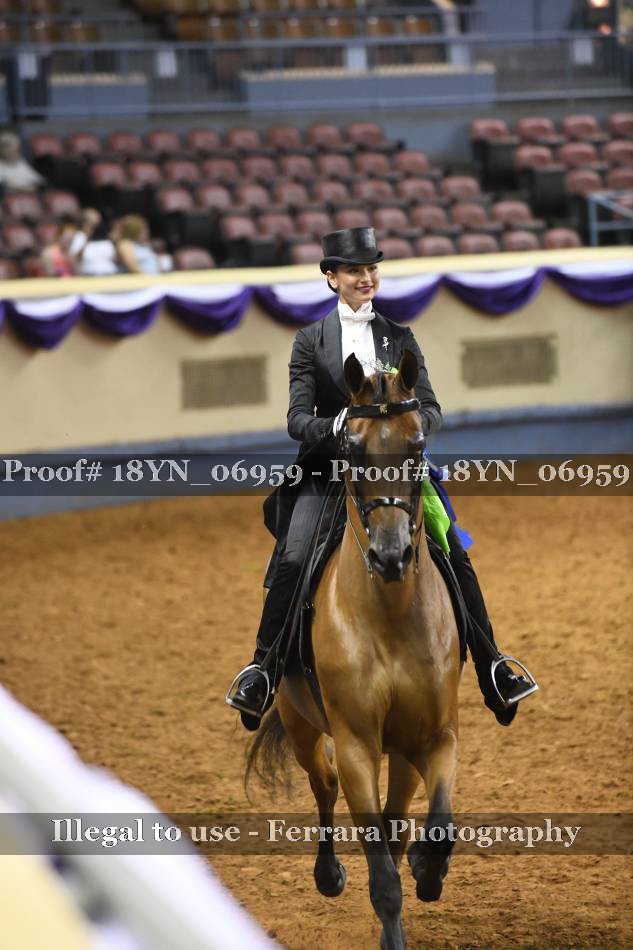 Proof 18YN_06959
