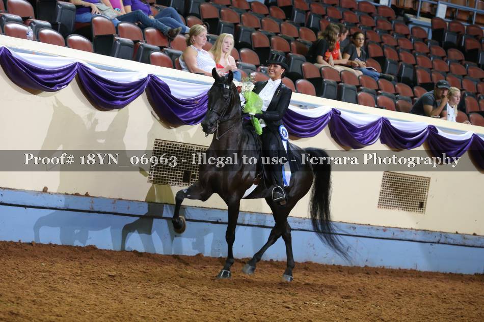Proof 18YN_06963
