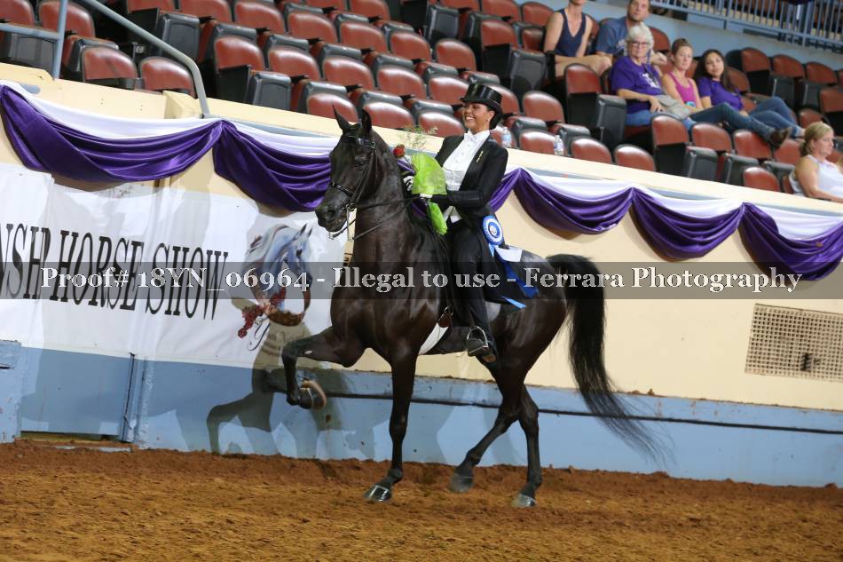 Proof 18YN_06964