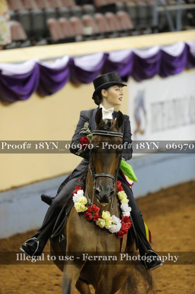 Proof 18YN_06970