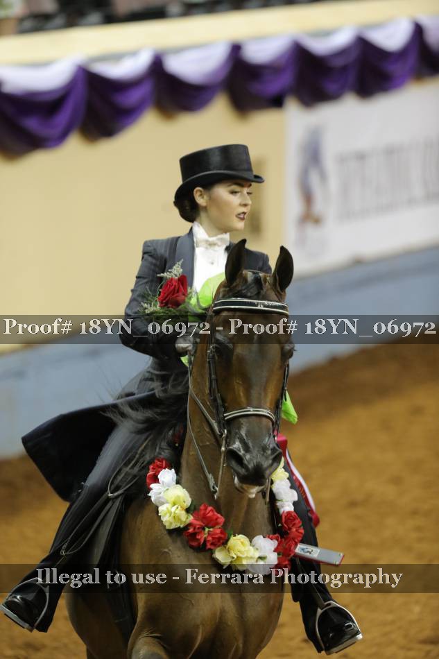 Proof 18YN_06972
