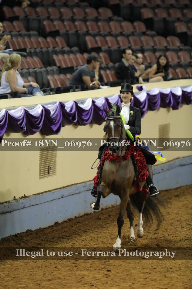 Proof 18YN_06976