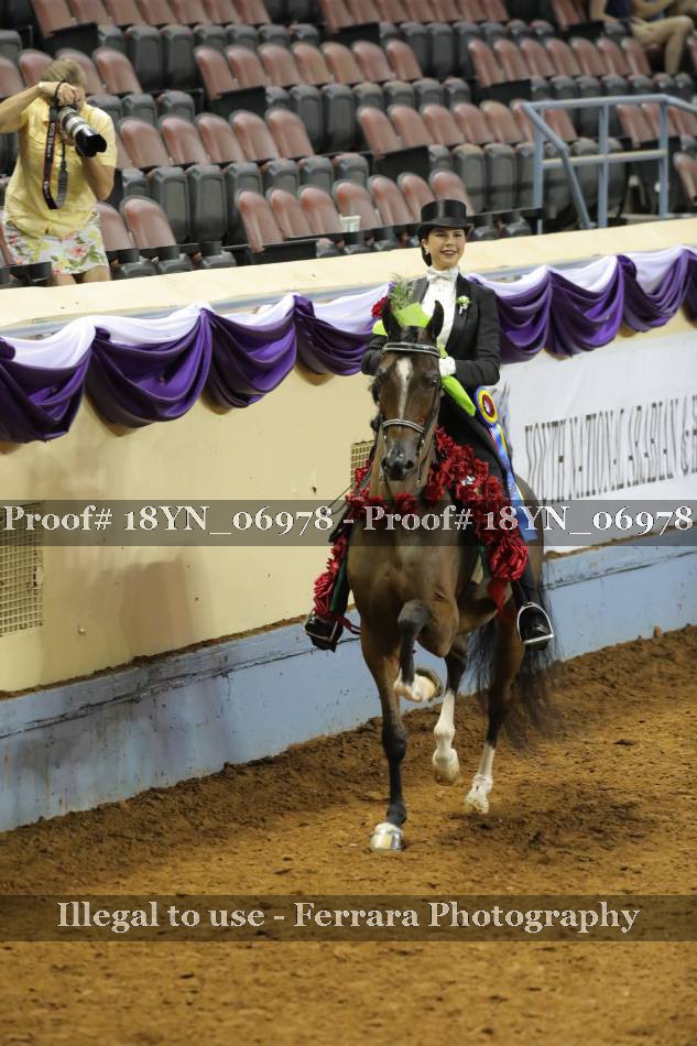 Proof 18YN_06978