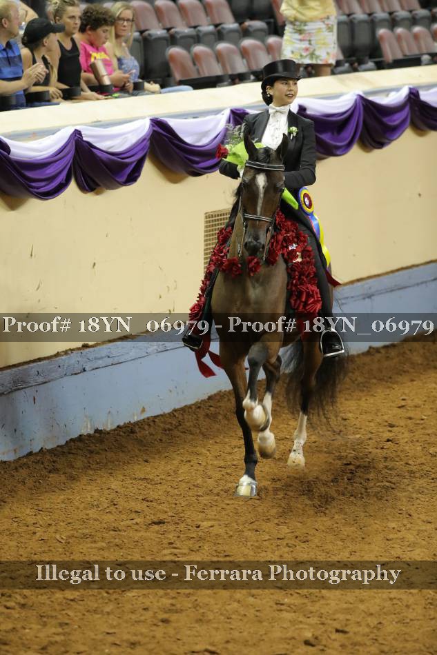 Proof 18YN_06979