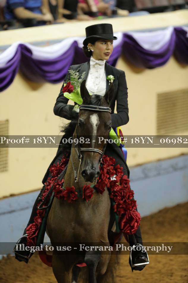 Proof 18YN_06982