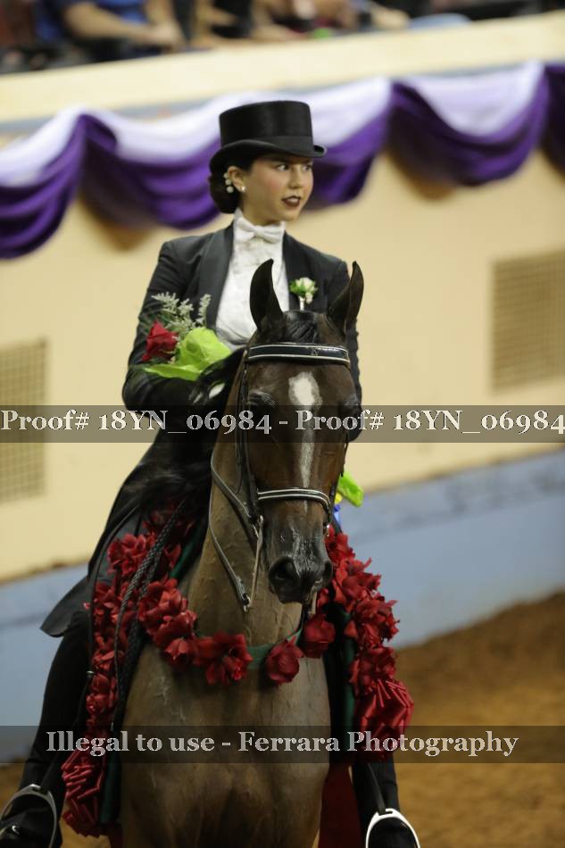 Proof 18YN_06984