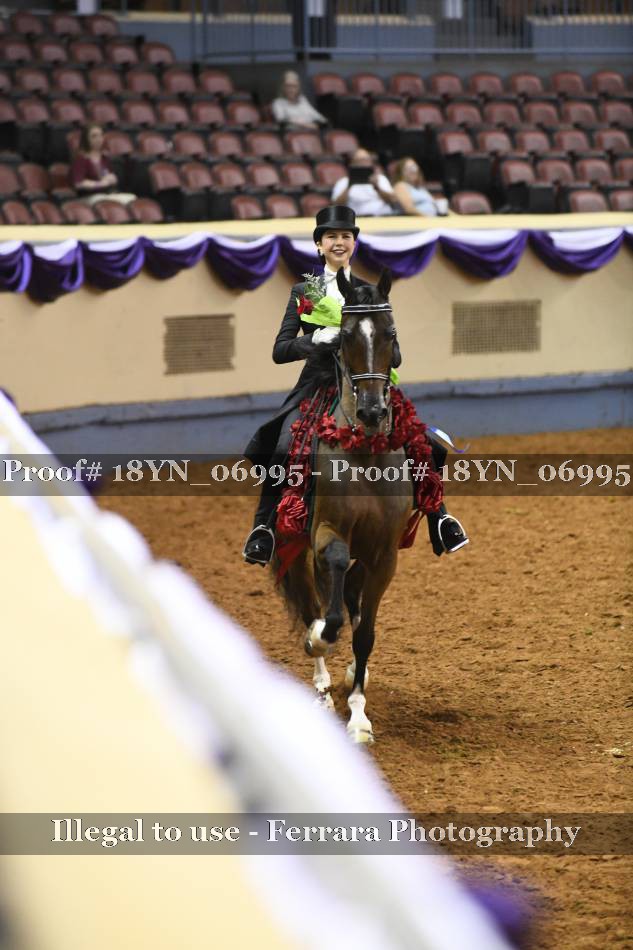 Proof 18YN_06995