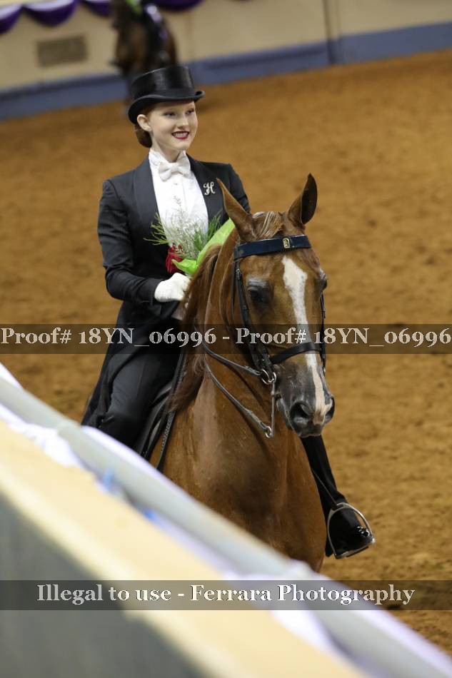 Proof 18YN_06996