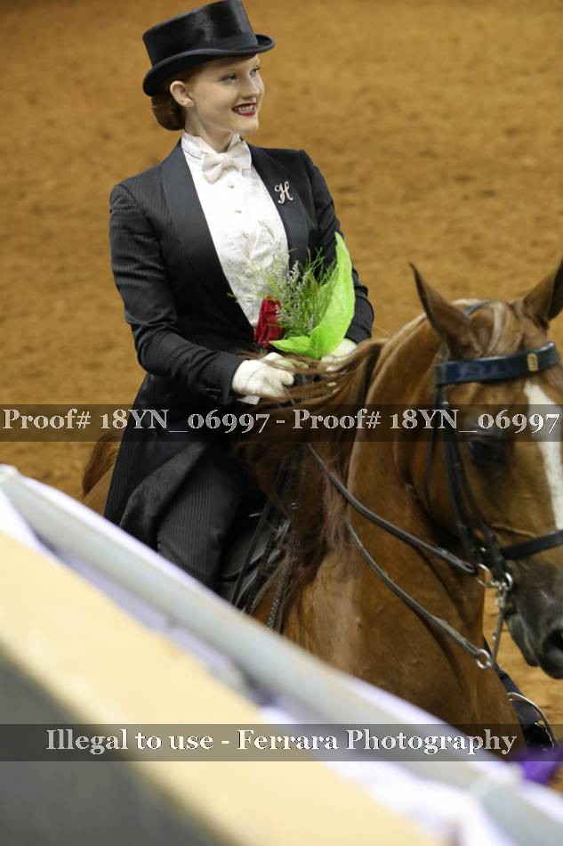 Proof 18YN_06997