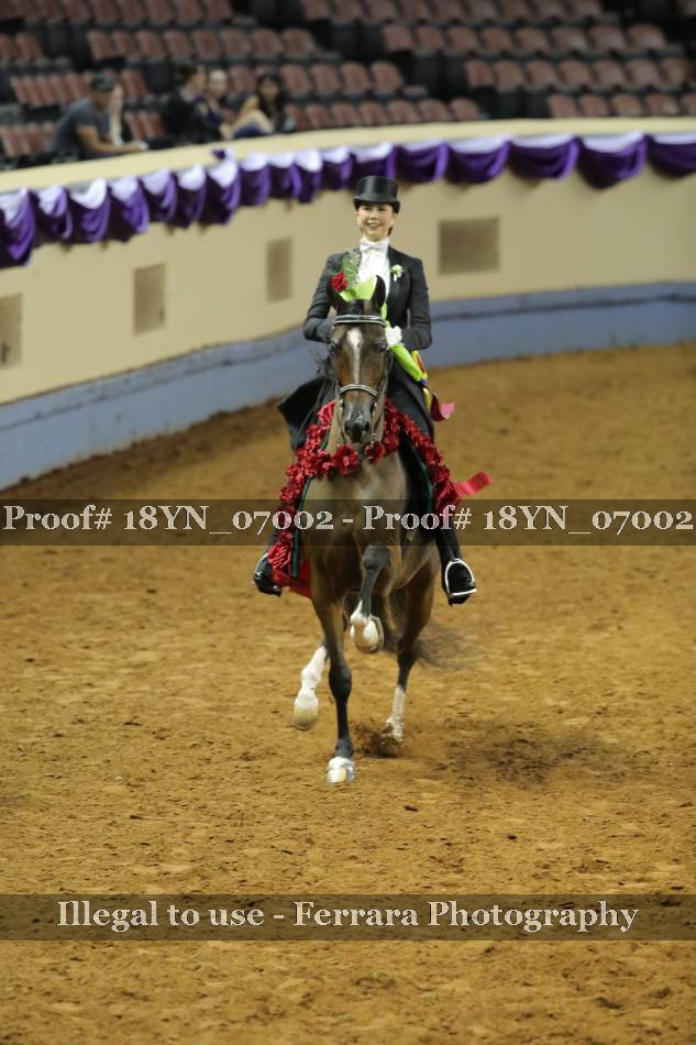 Proof 18YN_07002