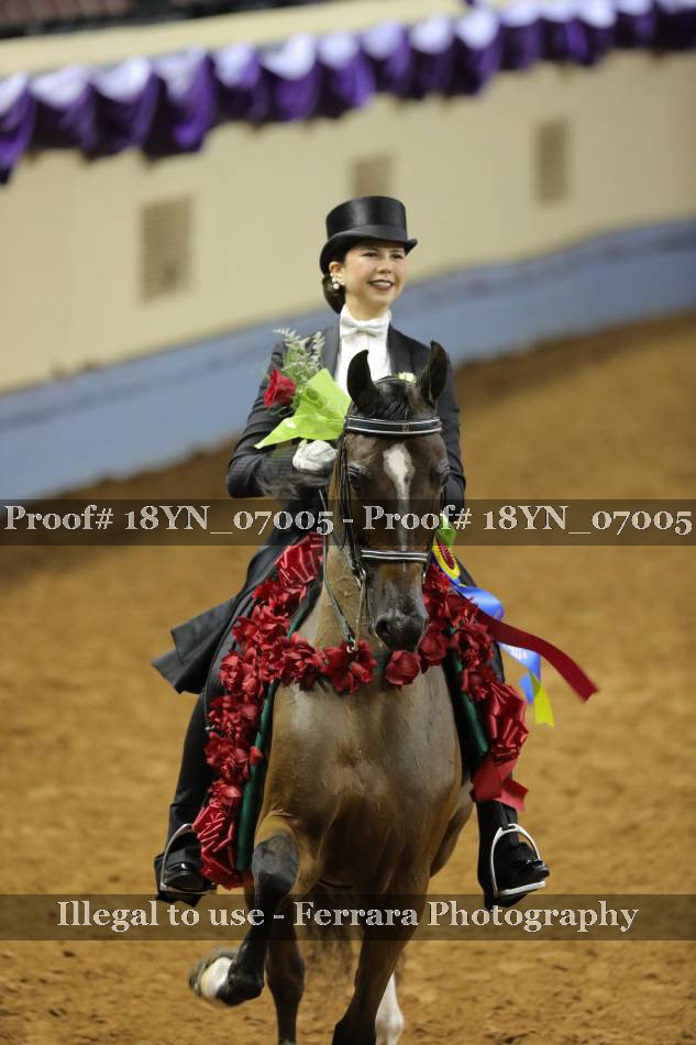 Proof 18YN_07005