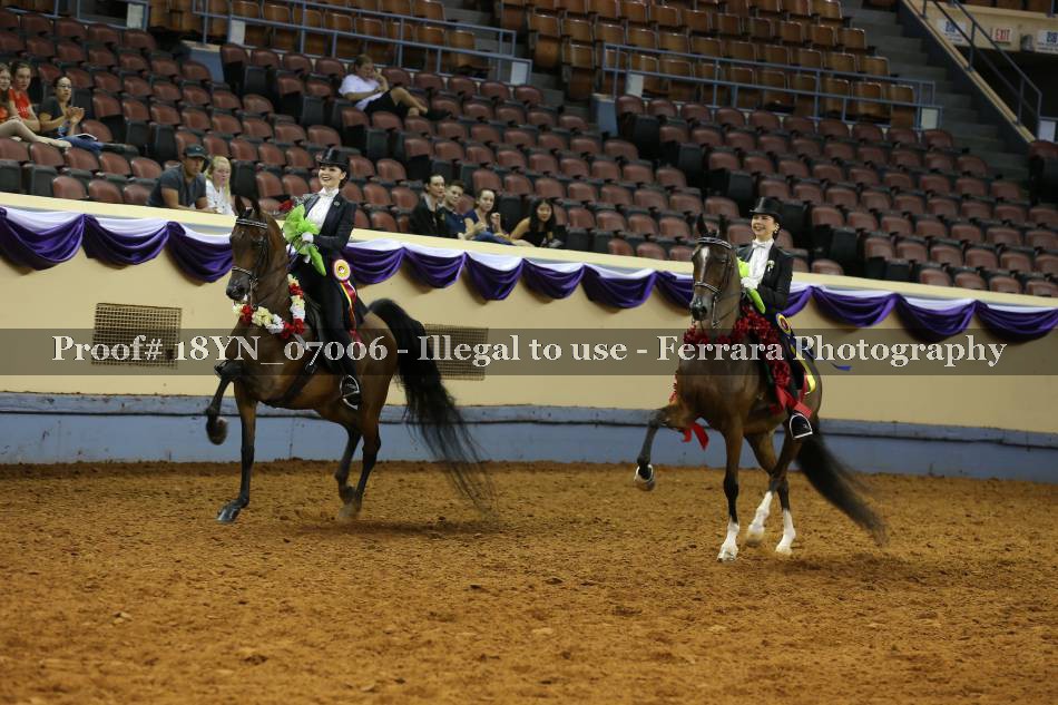 Proof 18YN_07006