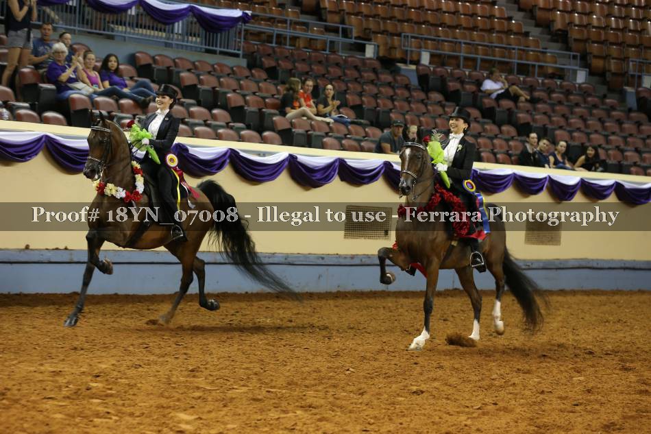 Proof 18YN_07008