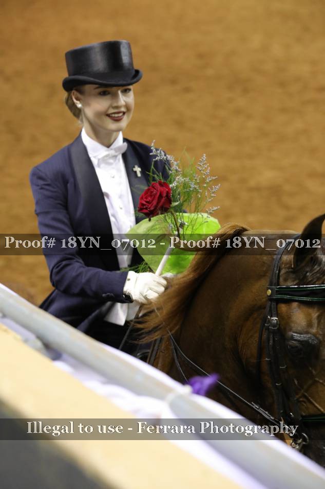 Proof 18YN_07012