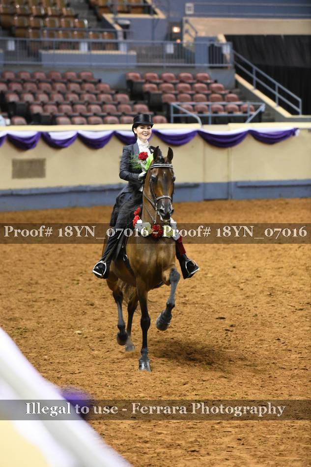 Proof 18YN_07016