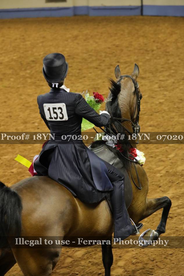 Proof 18YN_07020