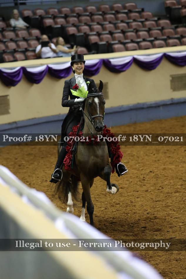 Proof 18YN_07021